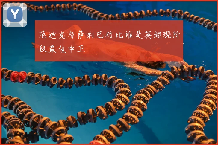 范迪克与萨利巴对比谁是英超现阶段最佳中卫